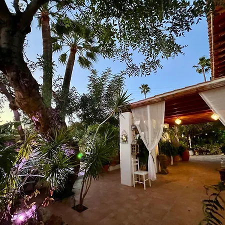 Paradise 1917 - Adults Only Otel