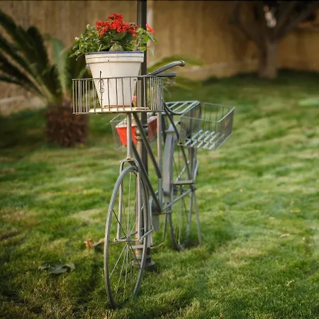 Paradise 1917 - Adults Only 2* Altea