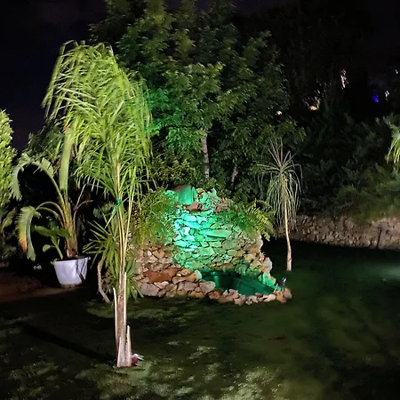 Paradise 1917 - Adults Only Otel 2*