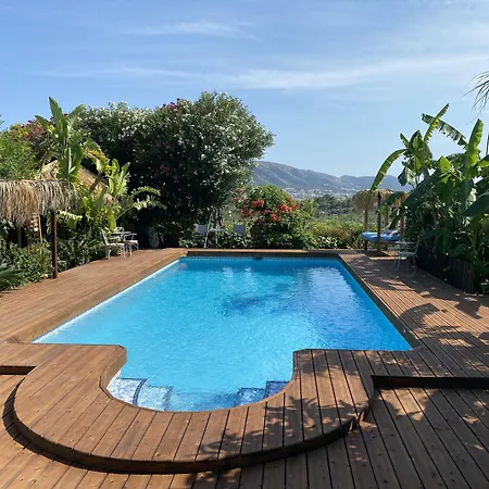 Paradise 1917 - Adults Only Otel