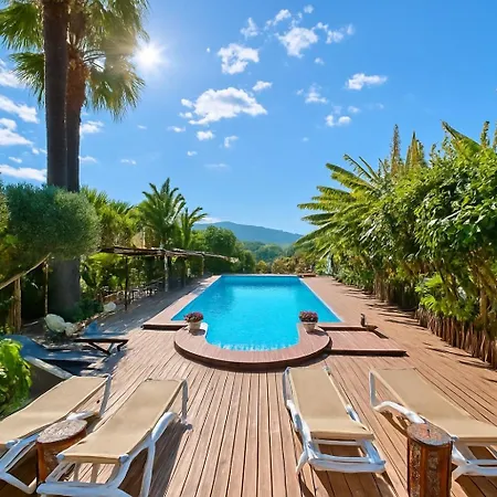 Paradise 1917 - Adults Only