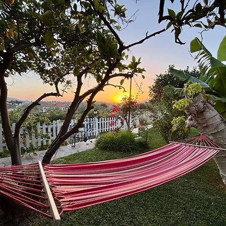 Paradise 1917 - Adults Only