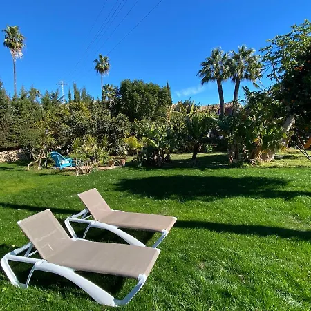 Paradise 1917 - Adults Only アルテア